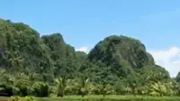 Wisata alam Rammang-Rammang merupakan pegunungan kapur terbesar kedua di dunia setelah China.