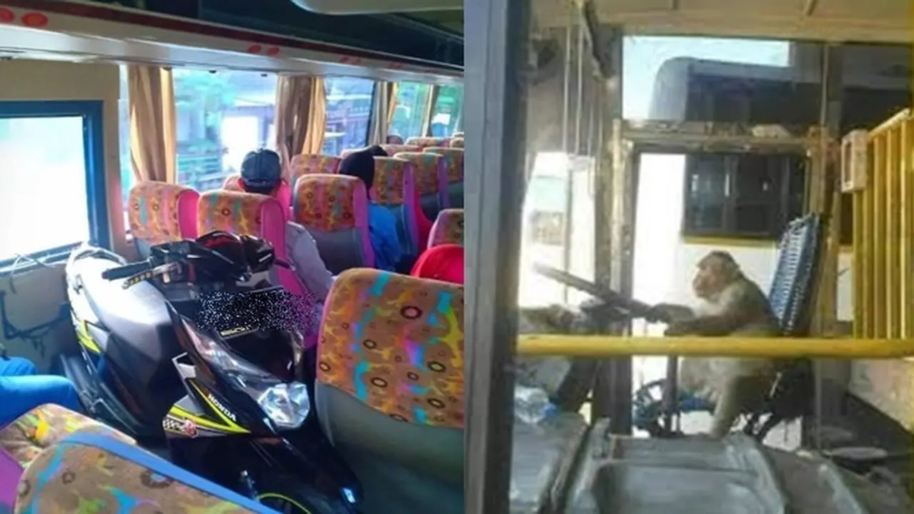 6 Momen Naik Bus di Luar Nalar Ini Bikin Geleng Kepala, Kocak