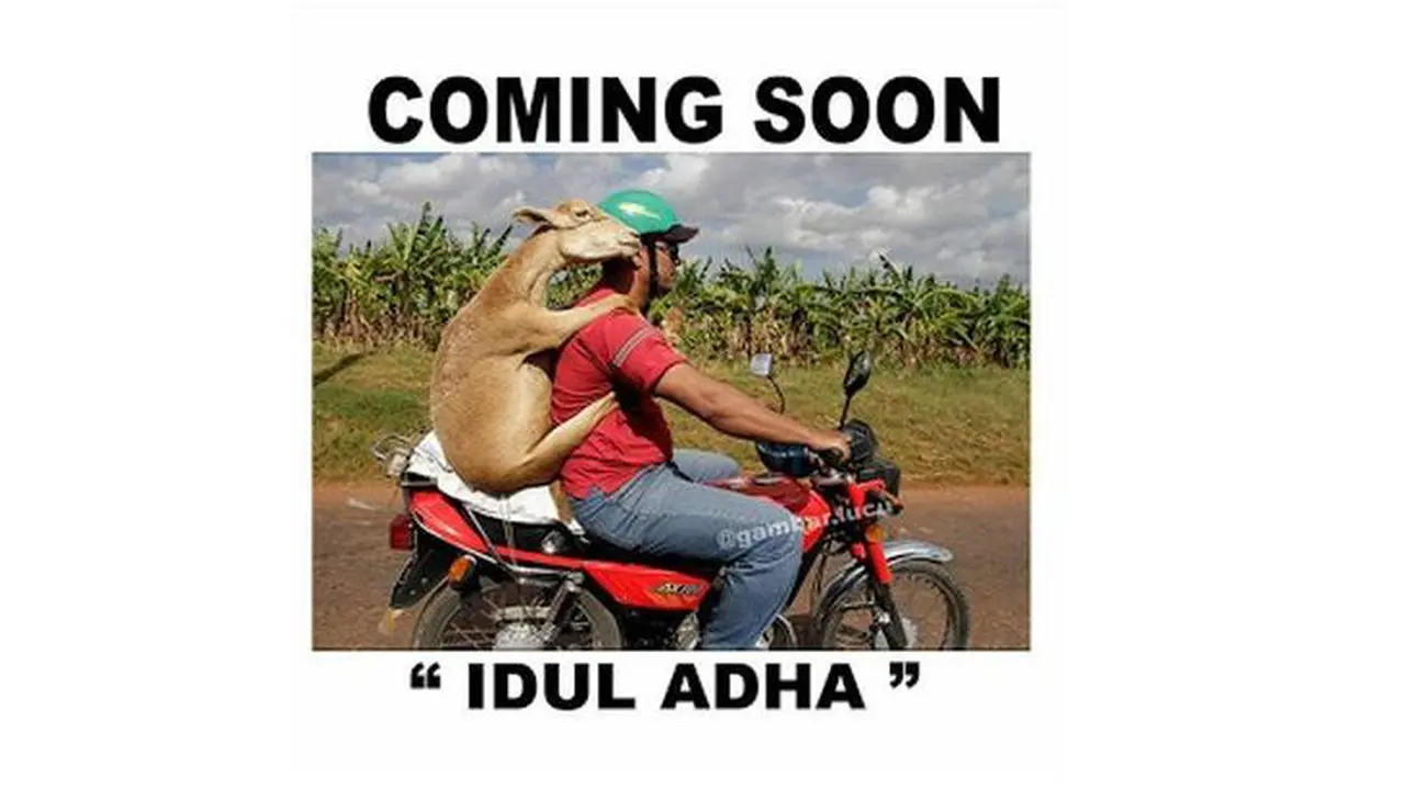 Meme Otomotif Edisi Idul Adha