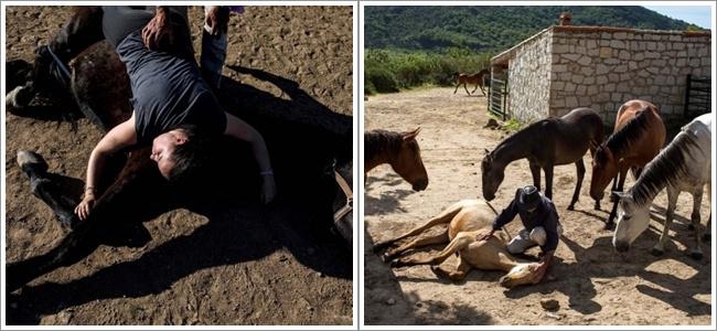 Terapi menggunakan kuda untuk mengatasi stres/copyright merdeka.com/reuters/Juan Medina