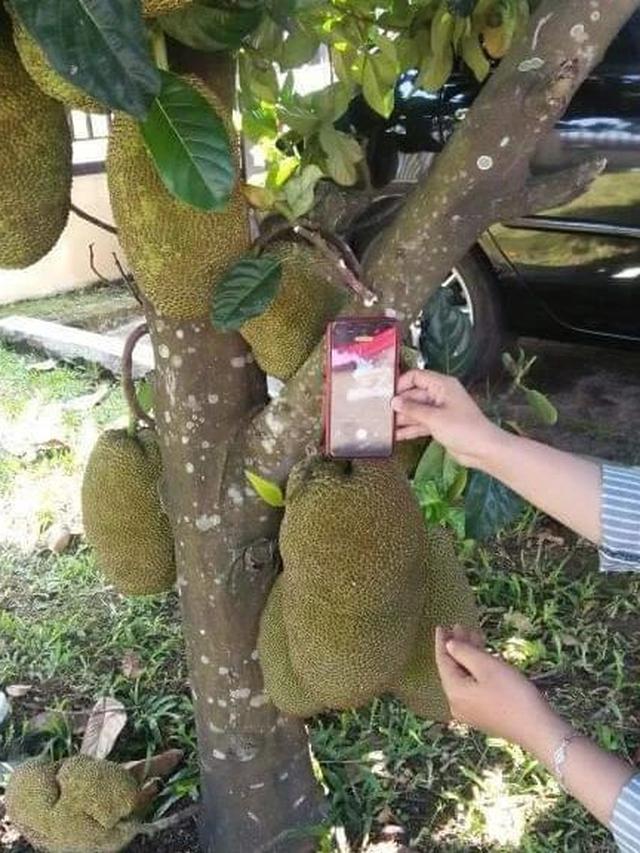 8 Aksi Nyeleneh Orang Enggak Punya Tripod saat Pakai Gadget Ini Kocak