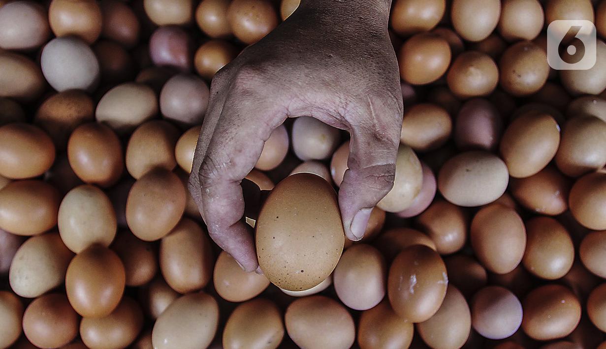 Penjual menunjukkan telur ayam yang dijual di toko kawasan Cirendeu, Jakarta Selatan, Selasa (7/6/2022). Harga telur ayam kini masih terbilang tinggi bahkan hampir mencapai Rp 30 ribu per kg. (Liputan6.com/Johan Tallo)