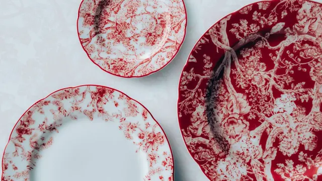 Dior Maison Toile de Jouy