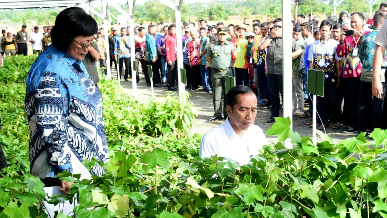Presiden Jokowi di peringatan Hari Pers Nasional (HPN) 2020, Sabtu (8/2/2020). (Biro Pers Istana)