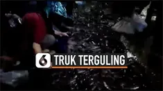 ribuan lele