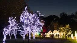 Pengunjung melihat tampilan lampu Natal pada pertunjukan cahaya Holiday Road di Calabasas, California, Amerika Serikat, 10 Desember 2021. Holiday Road digelar sepenuhnya setelah pandemi COVID-19 mengubah festival cahaya tahunan ini menjadi acara drive-thru tahun lalu. (AP Photo/Jae C.Hong)