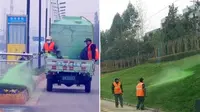 Rumput Hijau di China Gunakan Pewarna Kimia?