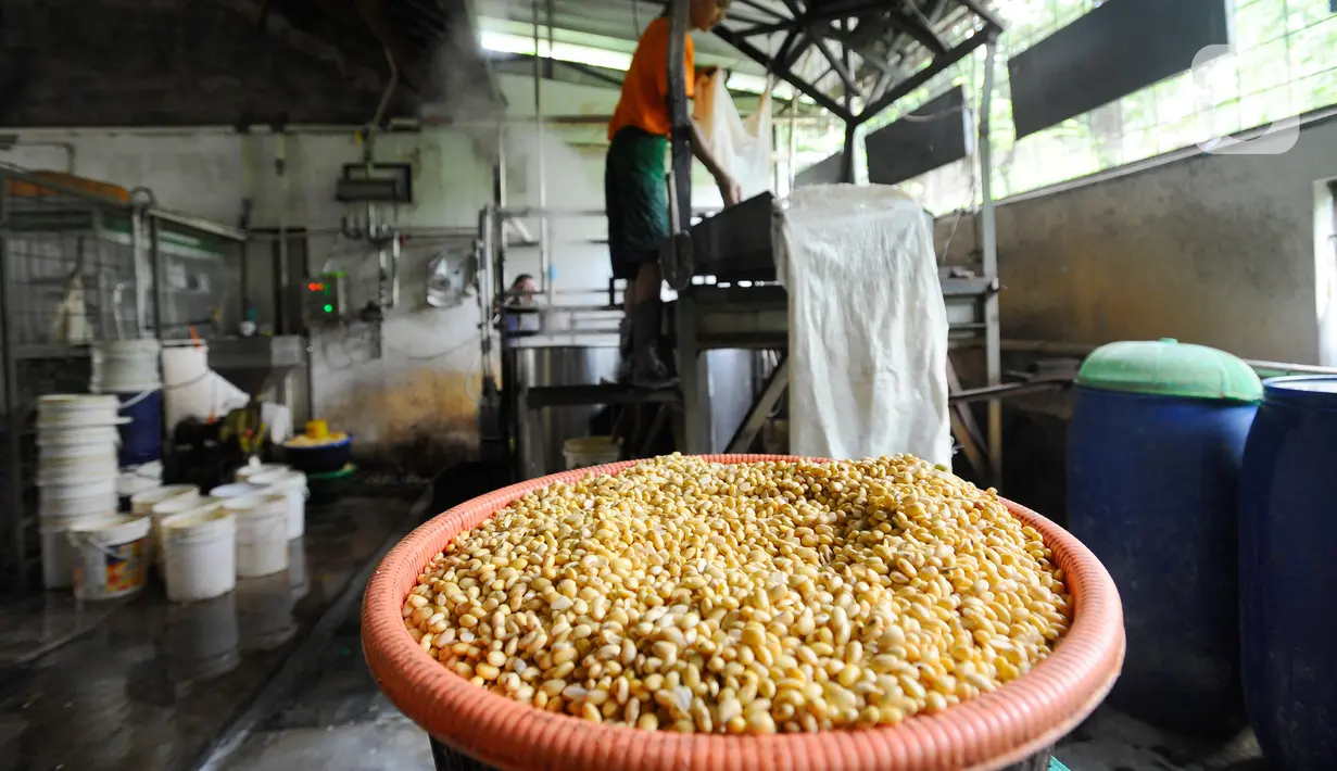 Kedelai untuk pembuatan tahu di Pabrik Tahu Krukut, Depok, Jawa Barat, Senin (31/10/2022). Kenaikan harga kedelai yang sekarang mencapai Rp 14 ribu/kg menyebabkan produksi tahu menurun dari 2,5 - 3 kwintal kedelai/hari kini hanya 2 kwintal/hari, sementara jumlah tenaga kerja pun harus dikurangi dari enam menjadi hanya lima orang. (merdeka.com/Arie Basuki)