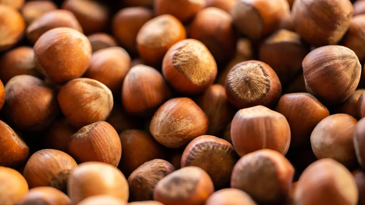 Kandungan hazelnut