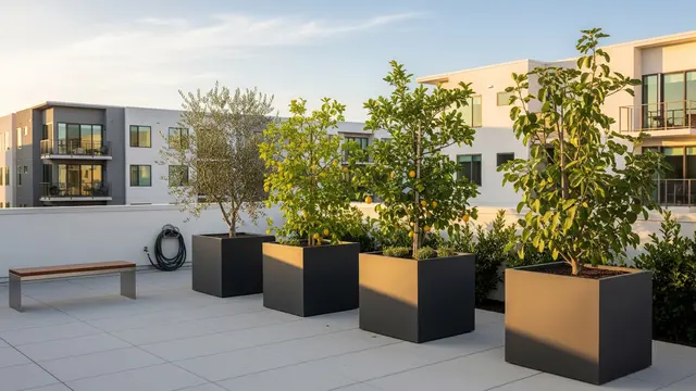 Desain Urban Garden dengan Pohon Buah Tahan Panas/Gemini AI