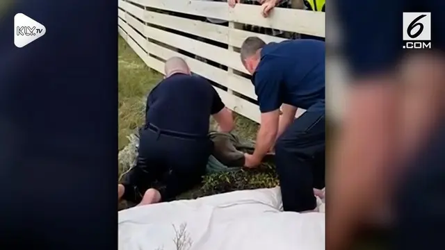 Demi selamatkan nyawa kangguru yang tenggelam, dua polisi Australia tak ragu beri pernafasan buatan pada hewan tersebut.