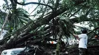 Mobil yang tertimpa pohon tumbang akibat angin kencang di depan RSUD dr Soedarso, Pontianak, Kalbar. Dua orang tewas dalam peristiwa yang terjadi kamis (26/08) tersebut.(Antara)