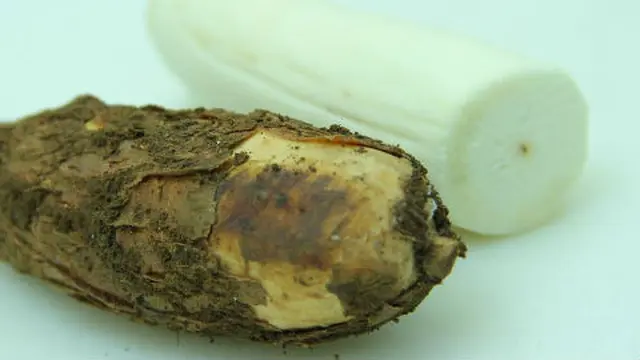 Singkong Sebagai Pengganti Nasi 