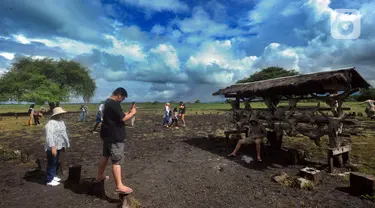 Wisatawan mengambil gambar di hamparan savana Bekol, Taman Nasional Baluran, Situbondo, Jawa Timur, Sabtu (29/4/2023). (merdeka.com/Arie Basuki)