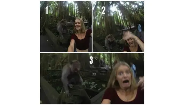 6 Momen Apes saat Selfie dengan Binatang Ini Bikin Ngelus Dada