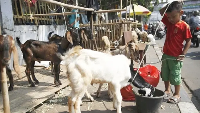 Foto: copyright merdeka.com