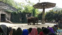 Kebun binatang Ragunan dipadati ribuan pengunjung saat libur Lebaran 2019.