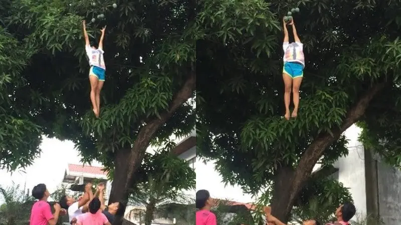 petik mangga ala cheerleader