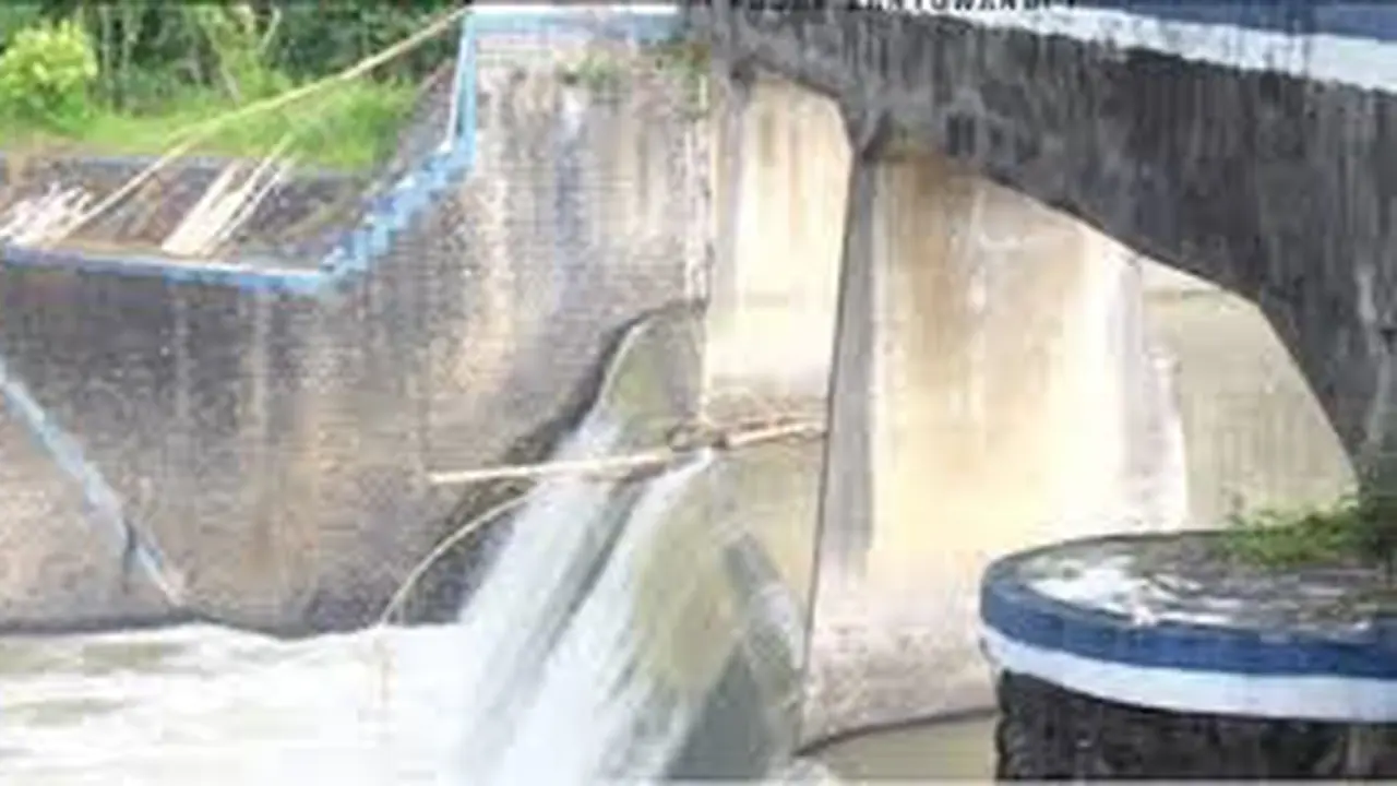Dam Karangdoro, Kecamatan Tegalsari Banyuwangi (Istimewa)