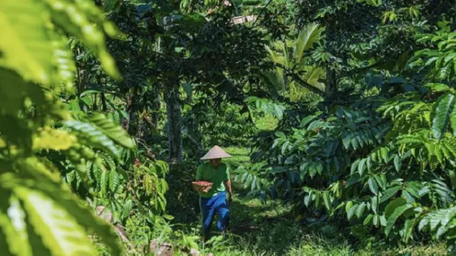 Talasi, upaya menciptakan produk berkualitas dari alami lewat pertanian berkelanjutan