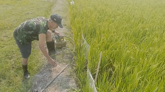 Petani Blora Sukisman