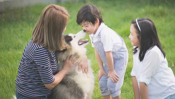 3 Kreasi Carapintarmam Mengenalkan Nama Hewan Pada Si Kecil Parenting Fimela Com