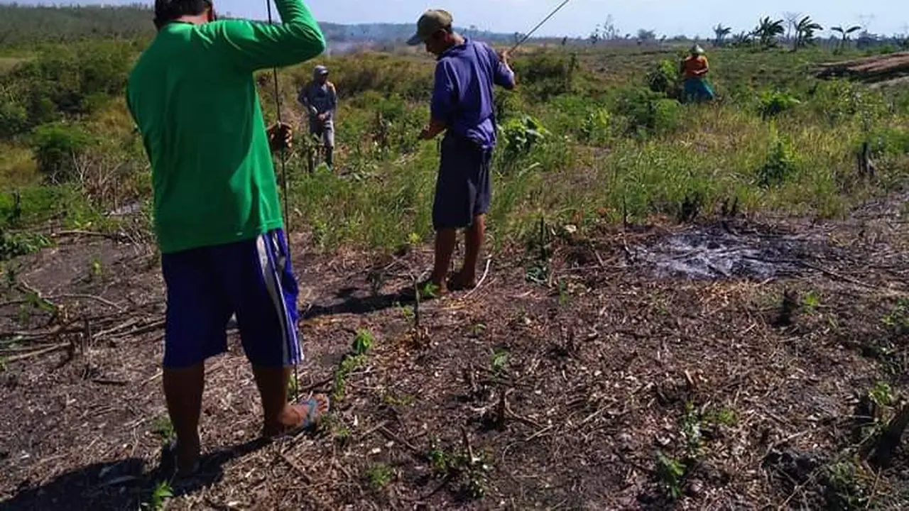Berbekal alat tradisional seperti cangkul, gancu, linggis, dan codos untuk mendeteksi keberadaan benda-benda kuno di dalam tanah. (Foto: Liputan6.com/Ahmad Adirin)