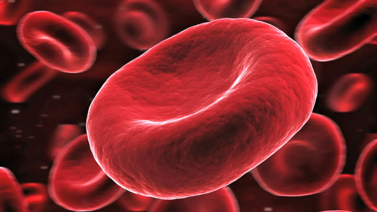 Ayo Membuat Sel Darah Merah