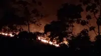 kebakaran hutan menghanguskan 50 hektar semak belukar di wikayah Puriala, Kabupaten Konawe sulawesi Tenggara.
