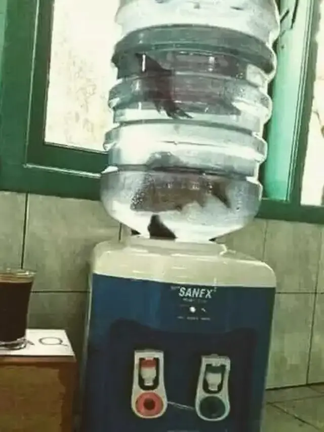 7 Potret Alih Fungsi Dispenser Nyeleneh, Jadi Aquarium Hingga Kotak CPU