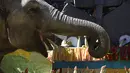 Gajah bernama Trompita menikmati kue ulang tahun yang terbuat dari buah dan sayur di Kebun Binatang Aurora, Guatemala City, Guatemala, Minggu (18/2). Trompita adalah gajah Asia yang diselamatkan oleh Kebun Binatang Aurora pada 2008. (JOHAN ORDONEZ/AFP)