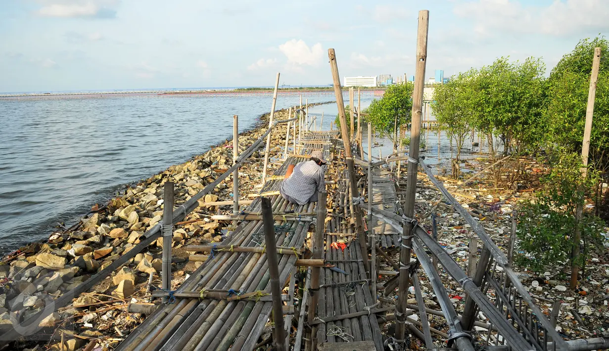 Seorang pria ketika memancing di kawasan wisata Pantai Marunda, Jakarta, Rabu (10/8). Meskipun terlihat kumuh, Pantai Marunda masih menjadi salah satu pilihan wisata murah bagi warga Jakarta. (Liputan6.com/Gempur M Surya)