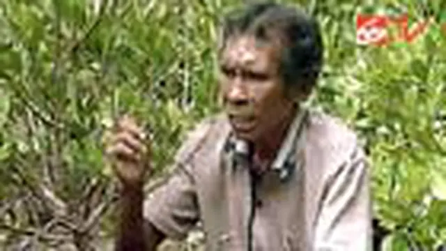 Hutan Bakau Atasi Abrasi Pantai