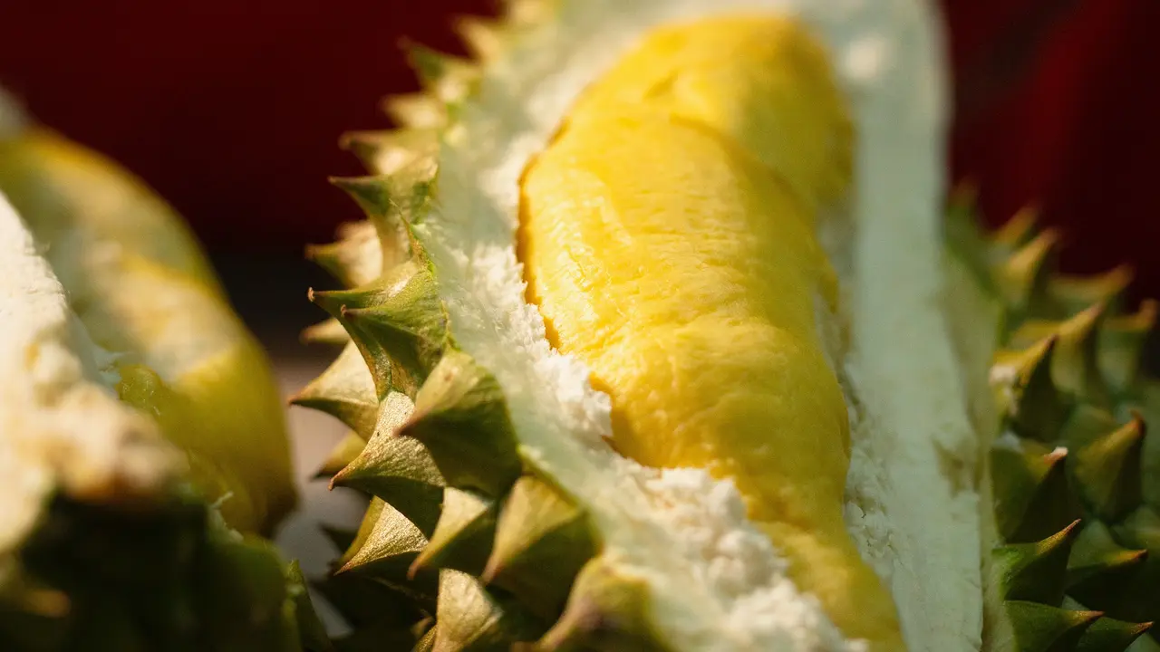 Buah durian