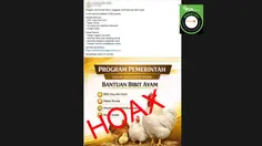 Cek Fakta: Hoaks Tautan Pendaftaran Bantuan Bibit Ayam dari Pemerintah 2026