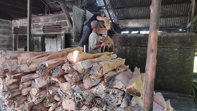 Salah satu kilang di Desa Tohor, Kepulaun Meranti, yang mengolah tual sagu menjadi sagu tepung untuk membuat mi.