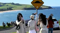 Jalan Terindah di Australia Picu Lonjakan Kunjungan Wisatawan, Warga Setempat Muak
