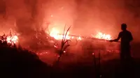 Kebakaran lahan di Kabupaten Kotawaringin Timur, Kalimantan Tengah. (Antara Foto/Untung Setiawan)
