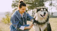 9 Tips to Keep a Dog's Fur Shiny and Healthy