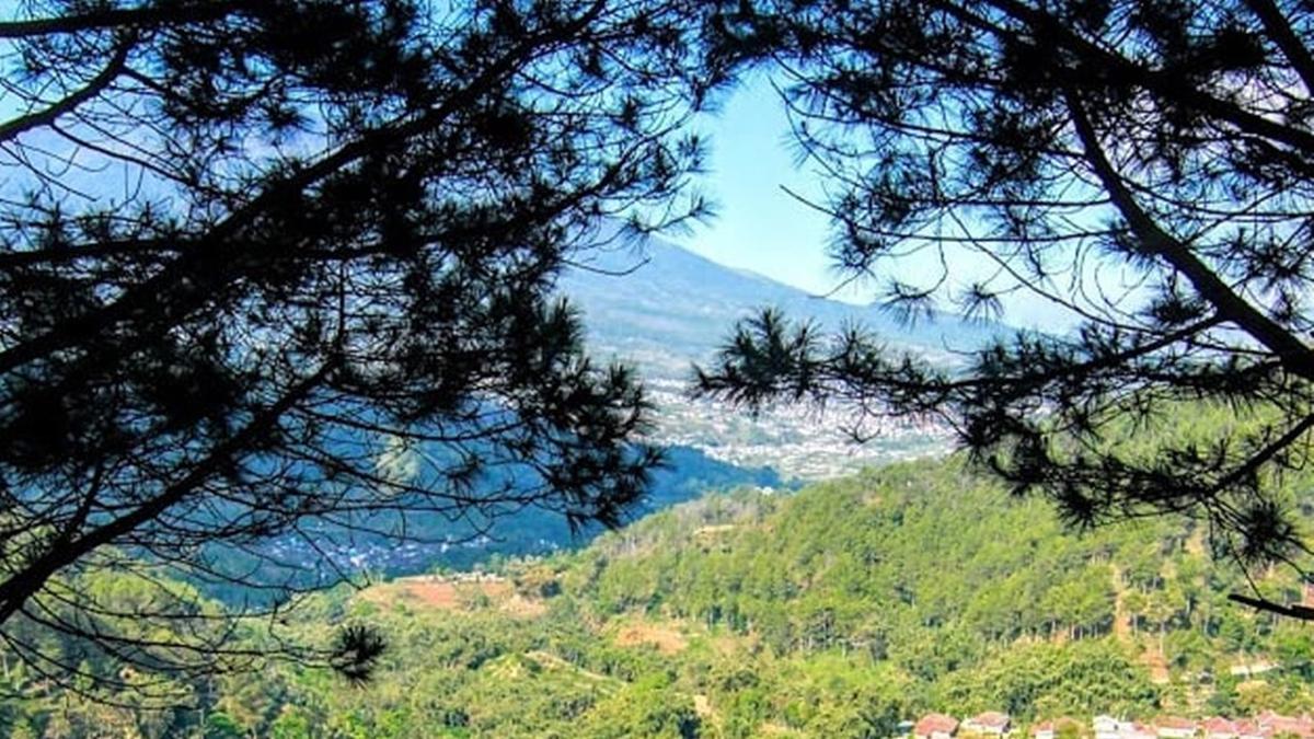 Intip, Rekomendasi Wisata Gratis dan Murah di Malang
