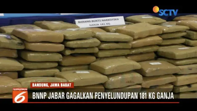 BNNP Jabar ringkus lima kawanan pengedar ganja seberat 181 kilogram.