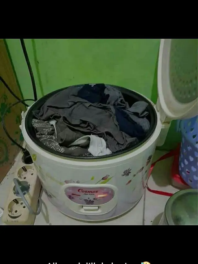6 Fungsi Lain Rice Cooker Ini Nyeleneh, Bikin Geleng Kepala