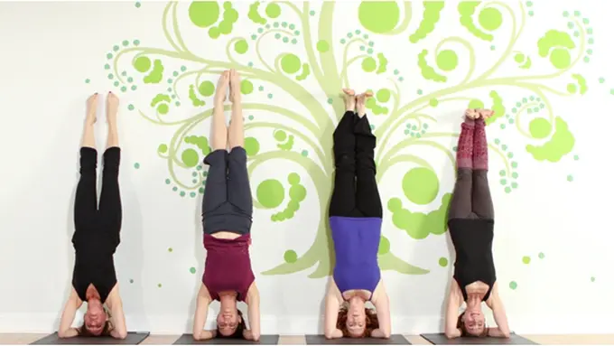 Courtesy ShutterStock.com