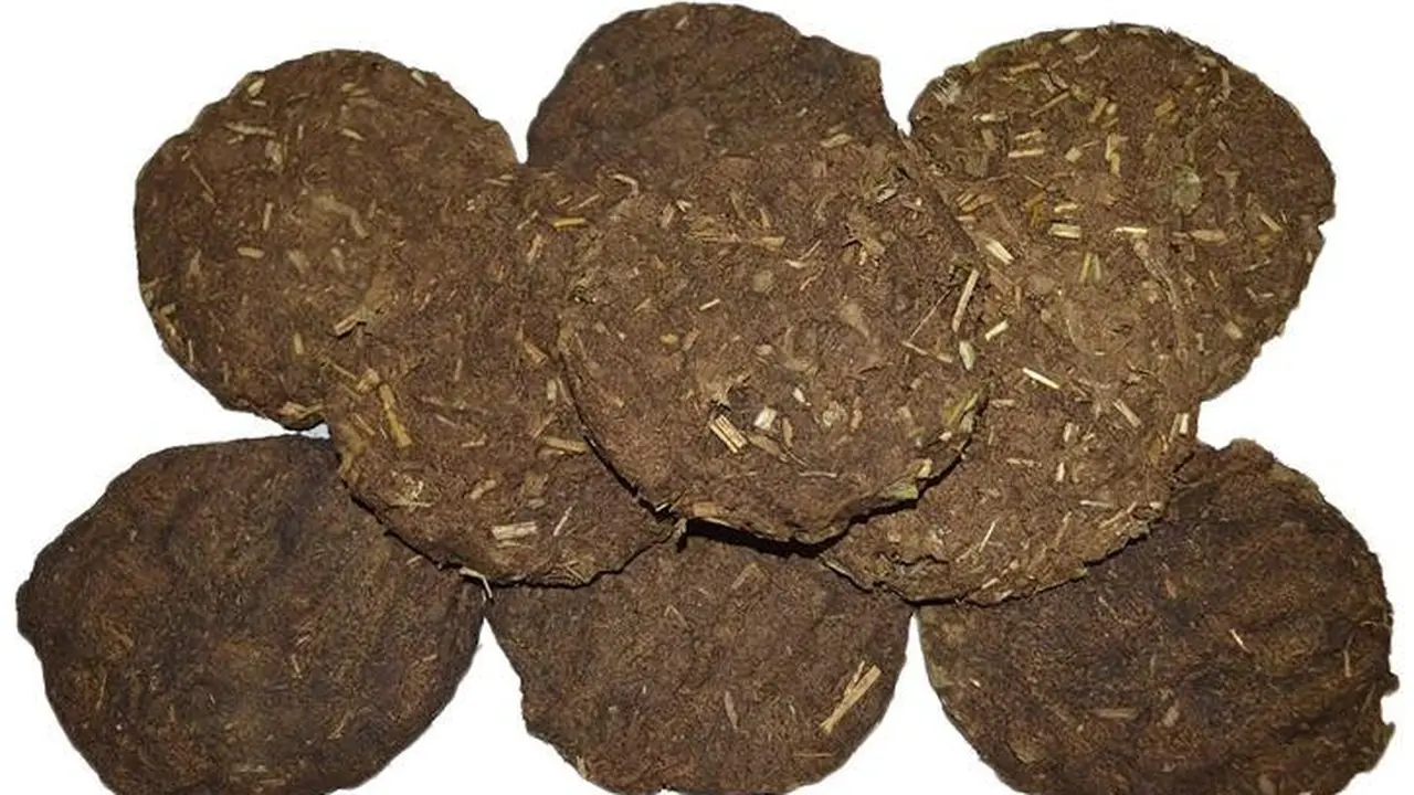 Beli Kue Kotoran Sapi Secara Online, Ulasan Kocak Pria Ini Viral