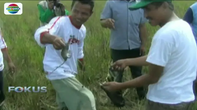 Jelang HUT RI, Warga Sulteng Gelar Lomba Tangkap Tikus 