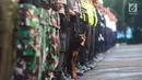 Seekor anjing K9 mengikuti Apel Kesiapan Mudik Lebaran 2018 di lapangan parkir Stasiun Gambir, Jakarta, Selasa (5/6). Apel yang diikuti petugas gabungan dari PT KAI, TNI dan Polri itu dipimpin Menhub Budi Karya Sumadi. (Merdeka.com/Imam Buhori)