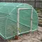 Cara Membuat Greenhouse Sederhana dari Pipa PVC, Panduan Praktis dari Nol hingga Selesai