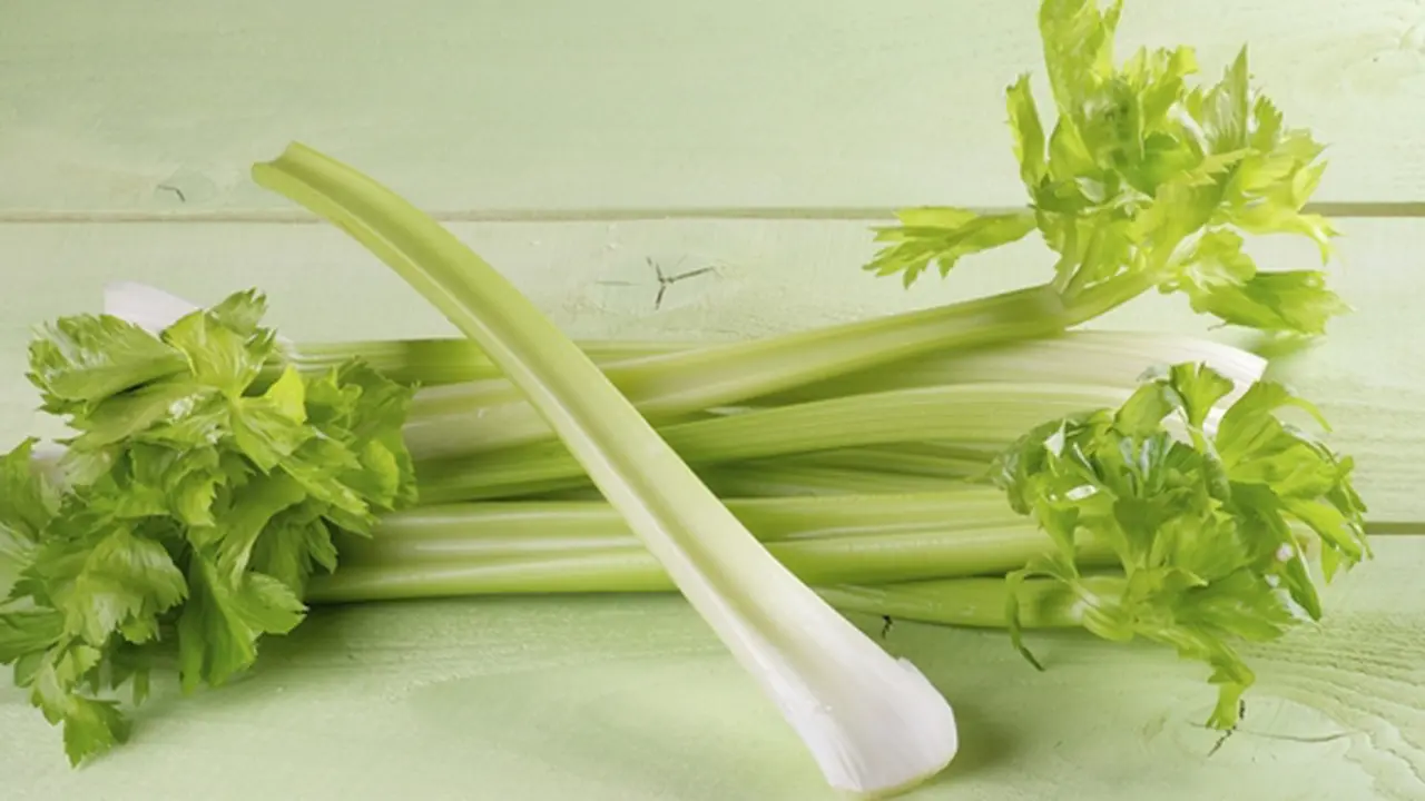 Foto: copyright thinkstockphotos.com