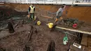 Seorang arkeolog membawa gerobak berisi tanah untuk dipisahkan saat memeriksa di situs penemuan rumah Zaman Perunggu di Peterborough, Inggris (12/1). Rumah ini diduga hancur akibat api dan kemudian ambruk ke sungai. (REUTERS/Peter Nicholls)