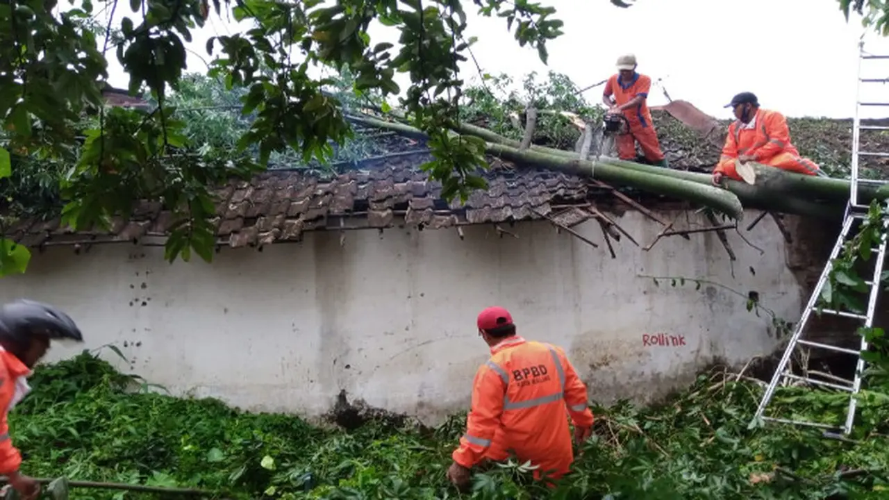 Fenomena Hujan Es Hingga Pohon Tumbang Melanda Malang Akibat Cuaca Ekstrem